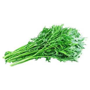 细叶雪里蕻种子苗秋冬四季耐寒雪菜孑芥菜京水菜雪里红农家蔬菜籽