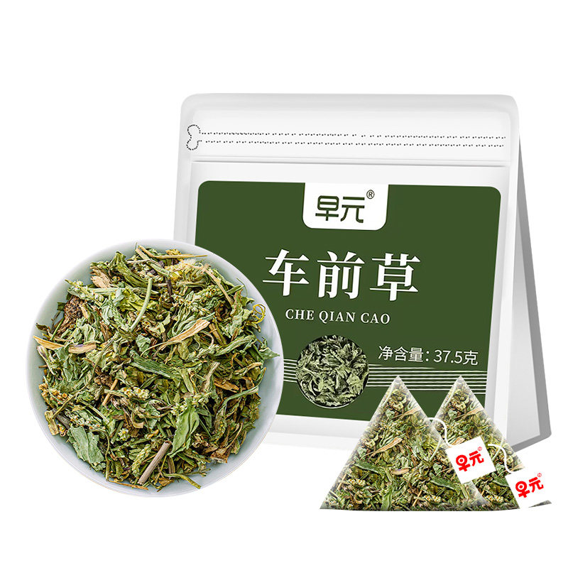 车前草正品独立小包装正宗干货泡水喝的功效与作用猫爪草泡茶喝的