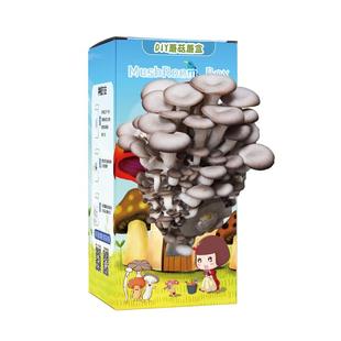 DIY儿童种植蘑菇盒子平菇蘑菇种植包菌包盆栽金针菇香菇种植多肉