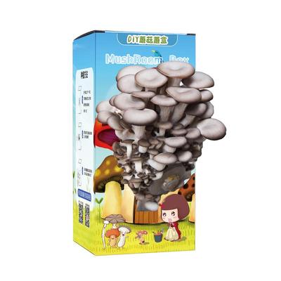 蘑菇盒子好吃好玩喷水就长三送一