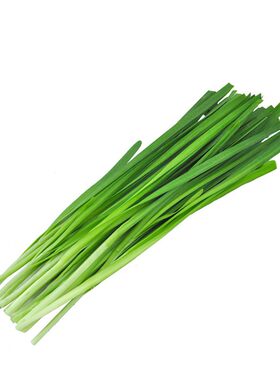 东升韭菜低脂烧烤广州新鲜150g