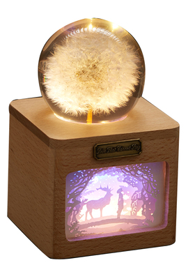 创意家居摆件送男女生蒲公英标本