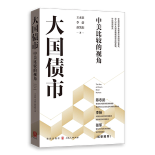 大国债市 中美比较的视角债券市场对比研究国债地方政府债券ABS/MBS王永钦李蔚薛笑阳著格致出版社大国金融崛起金融投资经济学逻辑