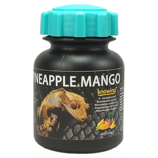 睫角守宫水果泥爬宠爬虫补充营养粮食物昆虫水果混合口味R属眼睛
