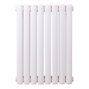 暖气片家用钢二柱6030钢制散热器家用钢制暖气片壁挂式大水道水暖