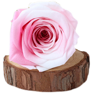 永生花4-5cm玫瑰中大号国产A级多色八朵装装饰手工花头DIY材料包