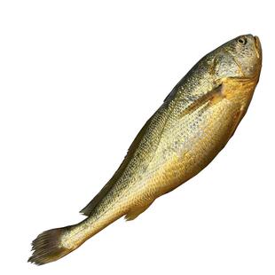 浙奉渔东海纯野生冰鲜大黄鱼 中条野生黄鱼新鲜蒜瓣肉黄花鱼海捕