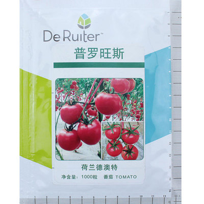 蔬菜普罗旺斯秧苗春季番茄种子