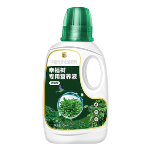 幸福树专用营养液肥料急救治黄叶落叶黑斑防掉叶干枯花肥盆栽液体