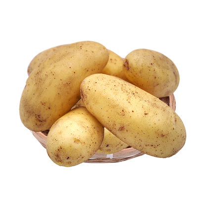 内蒙古乌兰察布新鲜沙面黄皮土豆