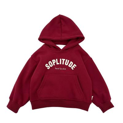 中小童秋冬韩版连帽加绒卫衣