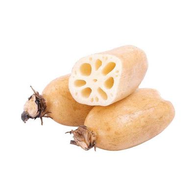 新鲜莲藕脆嫩可口现挖现发优质健康美食农家直供新鲜莲藕小藕