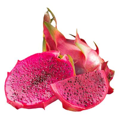 套餐草莓火龙果春四季哈蜜瓜种子