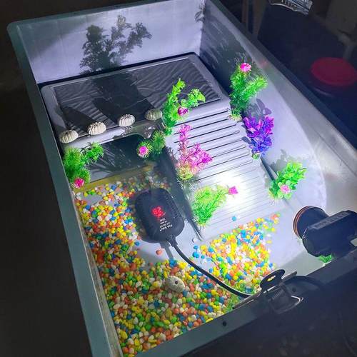 大型乌龟养殖缸套餐式水陆鱼缸侧排洞梯设计龟粮配件适用龟/鳄 龟