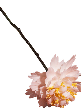 陶瓷花牡丹非遗花朵花束摆件礼物