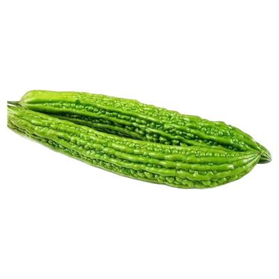 蔬菜种子大叶香菜四季小香葱播盆