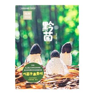 风物中国：黔菌 中国国家地理地道风物贵州蘑菇美食食用菌科普