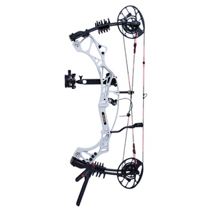 AGS射手胜算4.0射箭复合弓射击运动高精度成年人专用滑轮弓非毒液