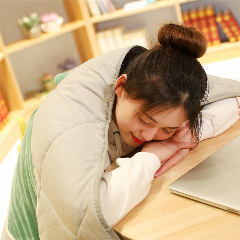 抱枕被子两用夏季玉桂狗汽车靠枕空调被二合一办公室午休神器可爱