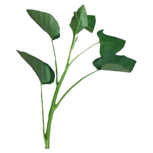空心菜新鲜2斤3斤包邮重庆农家藤藤菜蕹菜蓊菜通心菜无心菜空筒菜