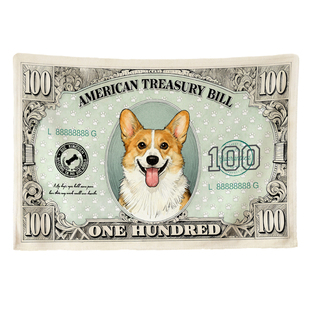 毛毯加厚办公室午睡毯子原创法兰绒沙发盖毯狗狗美元创意礼物定制