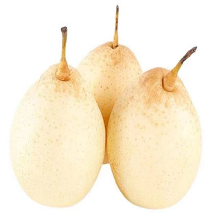 正宗河北鸭梨水果新鲜10斤当季采摘现发赵县雪花梨5斤水晶梨包邮