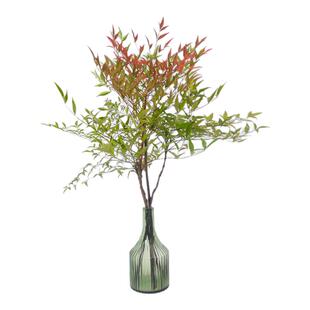 【新品】柠檬黄南天竹耐寒室外观叶花卉盆栽盆栽四季常绿花境植物