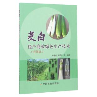 茭白稳产高效绿色生产技术 彩图版 茭白高效栽培技术书籍 茭白病虫草害识别与生态控制 茭白种植书籍 蔬菜种植栽培技术指导书籍