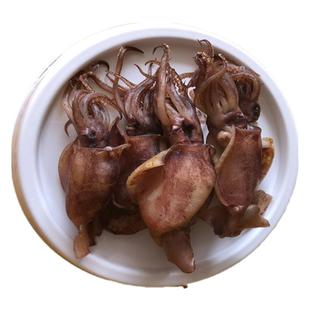 去内脏海兔干新鲜乌贼笔管鱼海兔子墨鱼仔鱿鱼仔干货大号500g包邮