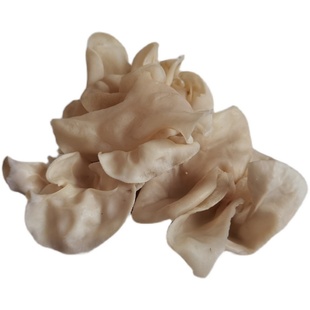 兔耳菌干货500克包邮白木耳银耳大白玉耳竹耳菌菇特产辣椒炒肉...