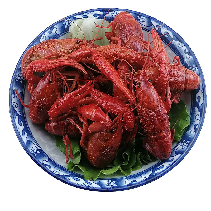 5斤4567钱现货鲜活小龙虾活虾清水稻田养殖虾活体青壳虾红虾包邮