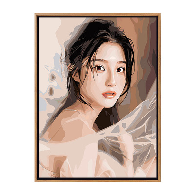 人物人像照片定制diy数字油画