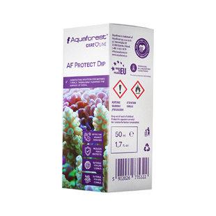 紫色森林AF珊瑚检疫水海葵检疫SPS检疫水扁虫黑虫霉菌珊瑚白化