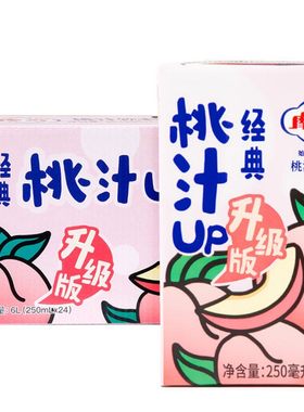 桃汁摩奇摩奇桃汁饮料250ml*24盒