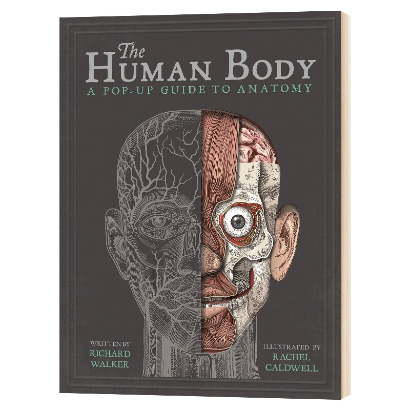 身体构造立体书 英文原版 精装 The Human Body 英文版儿童身体健康教育科普 立体书翻翻书绘本 进口原版英语书籍