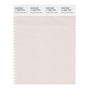 Pantone潘通色卡 彩通官方旗舰店 服裝家居 11-0103至11-0617TCX 棉布版单张色卡