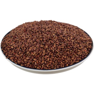 鸽粮50斤包邮天然葡萄籽鸽子信赛幼种鸽通用粮食5斤20斤营养饲料