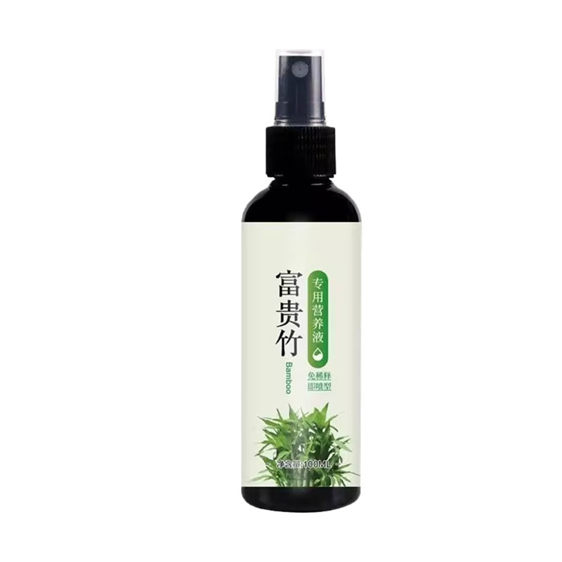 【常年不黄叶】富贵竹浓缩营养液