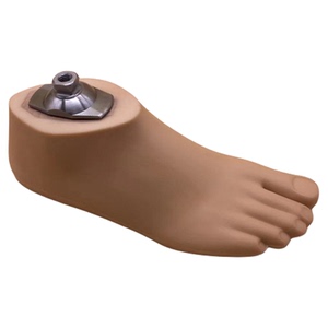 聚氨酯材料大小腿假肢脚板 假脚 静踝假脚15CM-27CM   假肢配件