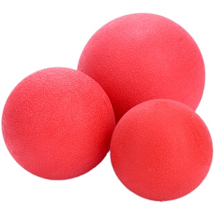 宠物玩具球狗狗实心球耐咬磨牙泰迪金毛玩具中大型犬玩具训犬用品