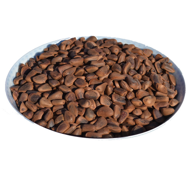 野生新鲜散装东北松子包邮新货