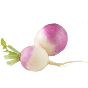 紫圆蔓菁种子菁芜菁甜面特色菜籽诸葛菜头夏秋季阳台盆栽蔬菜种孑