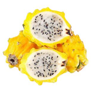 广西特产燕窝果麒麟果黄色火龙果金色皮新鲜大水果应季春节日礼盒