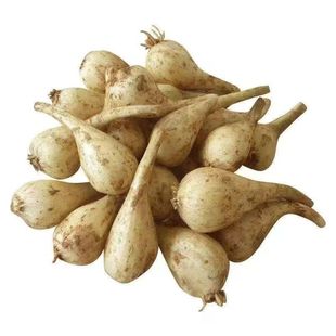 江西特产农家自种新鲜嫩荞头做泡菜教头现挖应季蔬菜藠头去叶去须