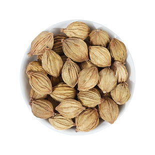 香砂仁500g包邮 金砂仁川沙仁粉卤水炖肉麻辣烫火锅香料调料大全