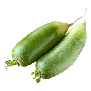 水果青萝卜种子秋季春季四季生吃潍坊沙窝杂交罗卜种籽潍县萝卜