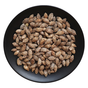 苍耳子中药材苍耳子茶仓耳子籽子中草药新鲜非野生可搭鹅不食草粉