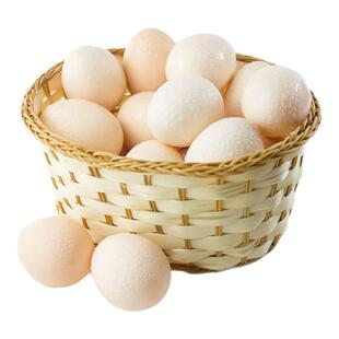 有机汇无抗土鸡蛋30枚 新鲜散养0抗0激素宝宝辅食鸡蛋【非有机】