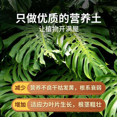 热植专用土养龟背竹海芋彩叶芋天南星科营养土花土颗粒土种植土