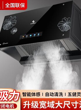 申花抽油烟机厨房家用顶吸中式大吸力脱排小型老式吸油烟机出租房